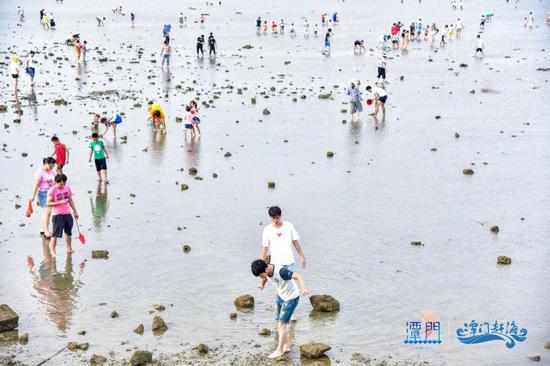 赶海拾贝实景图