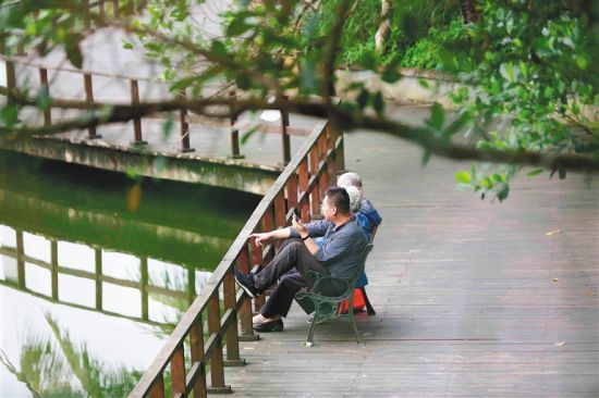 不少老人选择到保亭布隆赛乡村文化旅游区旅居。记者 武威 摄