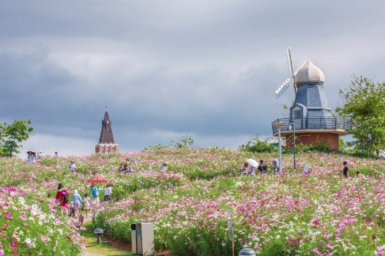 海花岛珍奇特色植物园