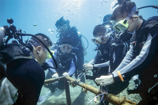 青少年在蜈支洲岛体验珊瑚移植