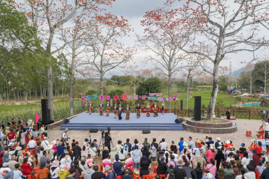 昌江排岸村举办稻田音乐秀。孟志军&nbsp;摄