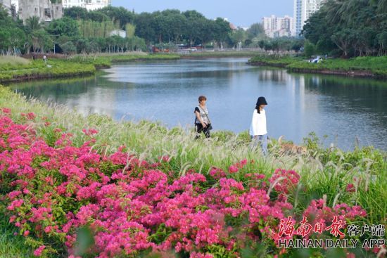 海口鸭尾溪成市民休闲游玩“打卡”处。