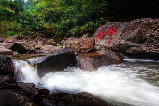海南热带雨林风景如画