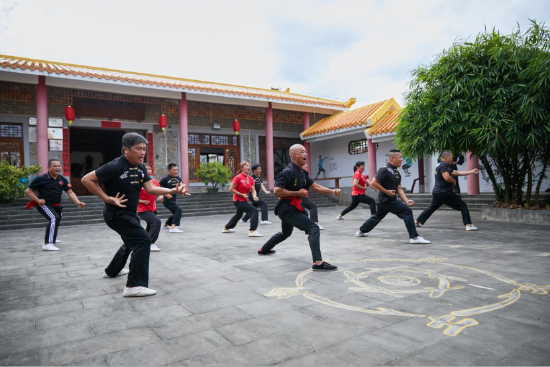 屯昌县新兴镇坡陈村的村民为游客带来“大马五形桩拳”武术表演。封烁 摄