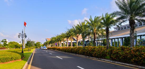美兰机场绿化面积覆盖