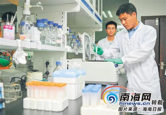 6月11日晚,海南大学热带农林学院老师汤水荣和学生一起做实验。海南省级人才服务“一站式”平台正式运行后,毕业于日本岩手大学的农学博士、海南大学热带农林学院教师汤水荣,顺利完成了留学归国人员认定、落户等手续。海南日报记者袁琛摄