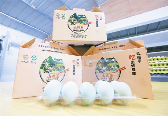 琼中山鸡蛋