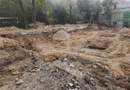 雨林广场生境修复对比（场地原状为建筑基坑）