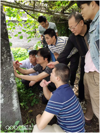 专家们逐字考证清康熙四十五年《重修桄榔庵记》原文。蹲者,远为陈才智,中为张国文,近为郭益华。站立者,右二为李公羽,右三为蓝明。(何以端供图)