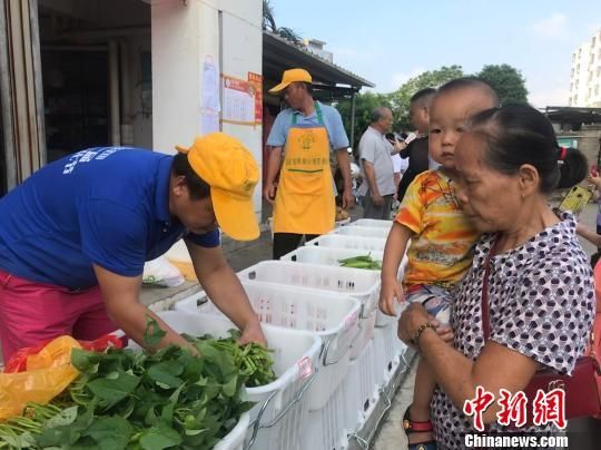图为小区居民在菜篮子社区蔬菜直销车点位购买蔬菜。　黄艺　摄