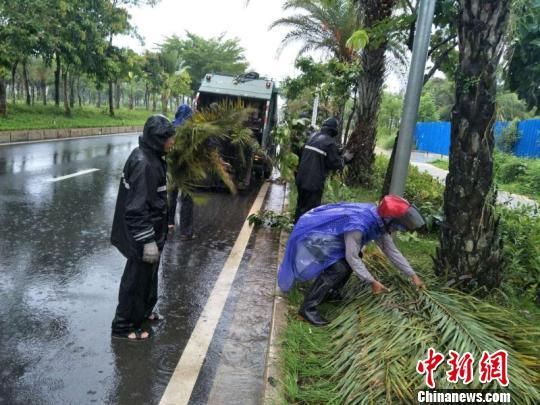 工作人员在清理三亚路边树枝杂物。代茜 摄