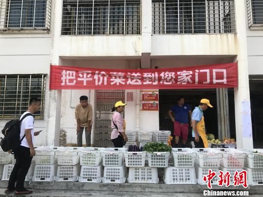 海口郑村惠民小区菜篮子社区蔬菜直销车点位。　黄艺 摄