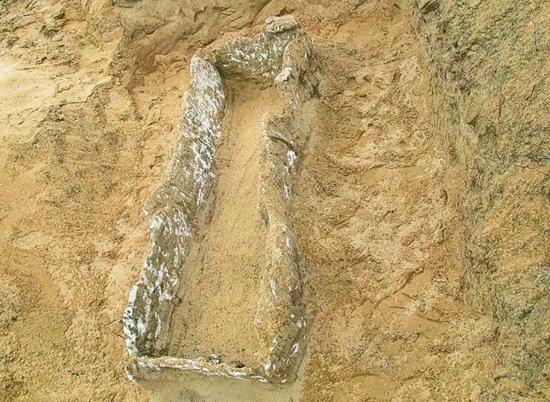 海南省人民政府网发布的“陵水土福湾珊瑚石椁墓”图。