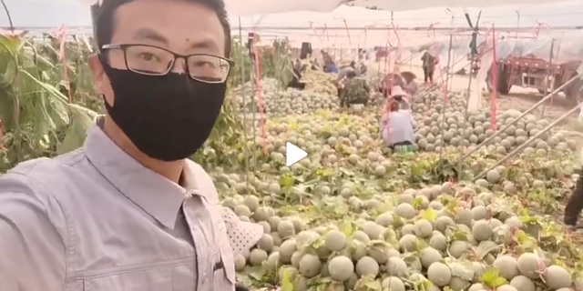 95后捐一吨哈密瓜给一线医护