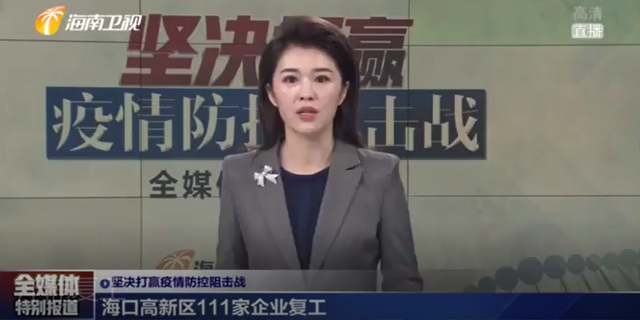 洋浦：百万吨乙烯项目逐步恢复施工