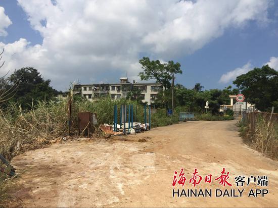 海口市龙华区金垦路金牛湖附近堆放的消毒剂