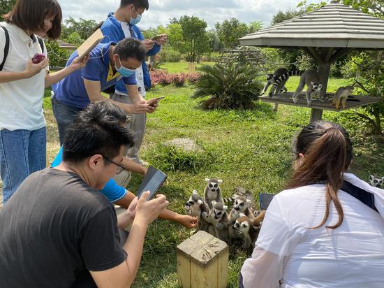 媒体团在桂林洋天鹅湖动物基地与动物互动