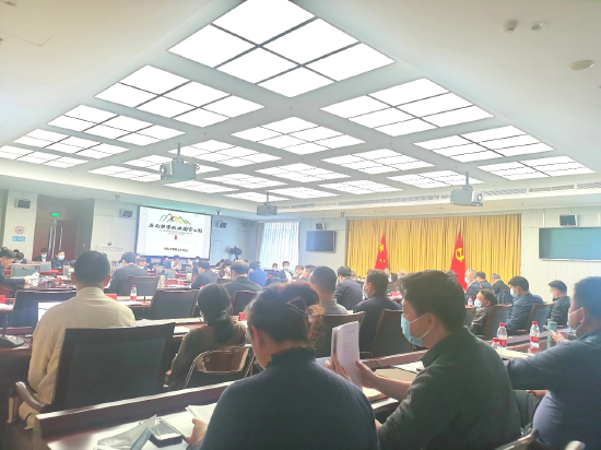 设计团队负责人谭晓东汇报重点项目设计方案