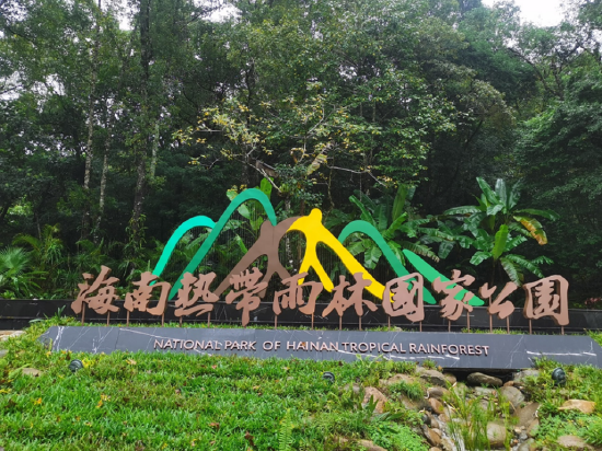 雨林广场水景雕塑-建成效果