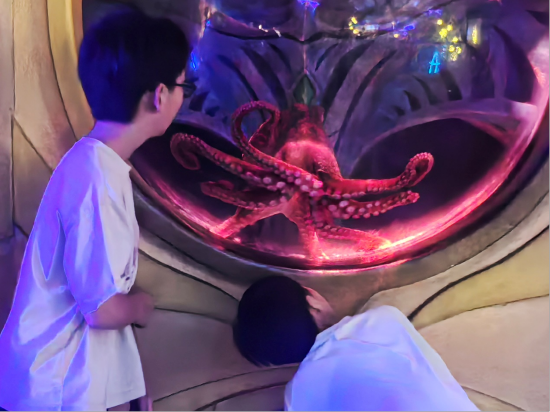 （小游客在观察巨型章鱼）