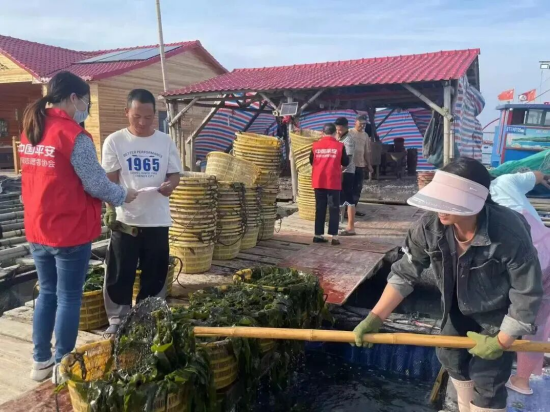  平安产险农险工作人员调研渔业零工保障需求