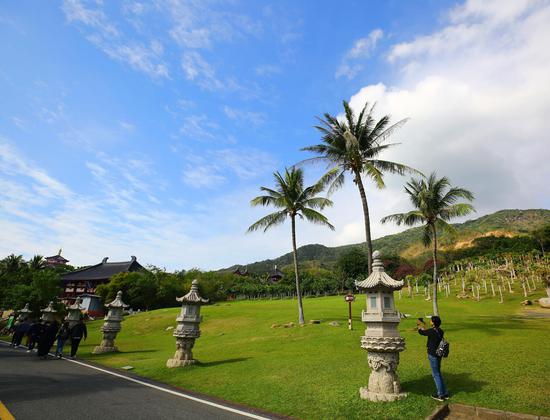 1月10日，游客在三亚南山文化旅游区游览。 陈文武摄