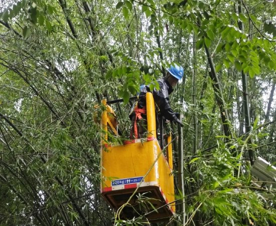 海南电网五指山供电局水满供电服务中心工作人员在风小雨停后，第一时间赶到现场开展抢修。（唐钰峰）