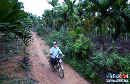 11月10日，胶工雷金翔割完橡胶后，骑摩托车回家。