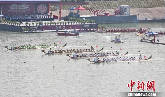 2015中华龙舟大赛总决赛12月5日在海南陵水鸣鼓开赛，来自全国各地的32支参赛队伍在陵水河展开激烈角逐。图为比赛现场。　尹海明 摄
