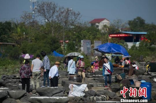 图为游客在千年古盐田游览。　洪坚鹏 摄