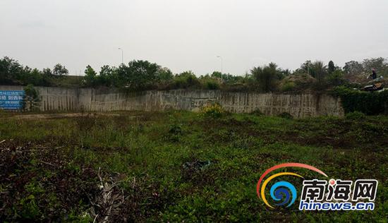位于儋州市那大镇宝岛路水利渠桥旁的公路两边的破墙，周边早已杂草丛生。