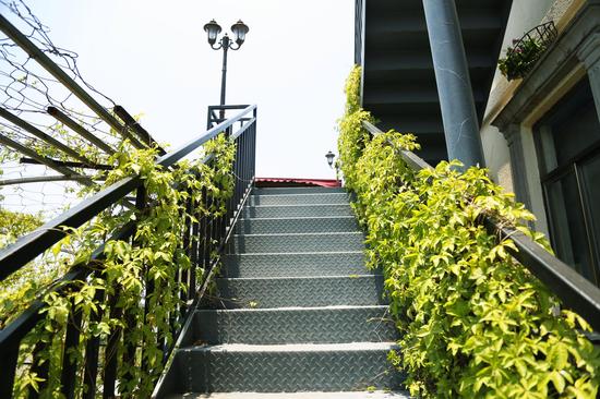 绿枝缠绕的楼梯
