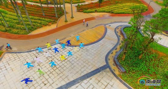 2016年5月12日,航拍万绿园景观提升工程“花海”。海报集团全媒体中心记者 张茂 摄