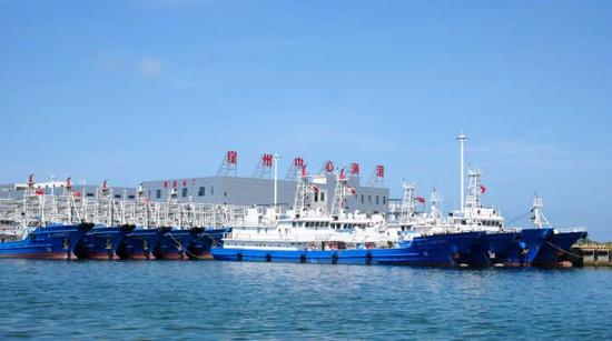 6月18日，众多伏季休渔的渔船停泊在三亚崖州中心渔港内。海南日报记者武威 摄