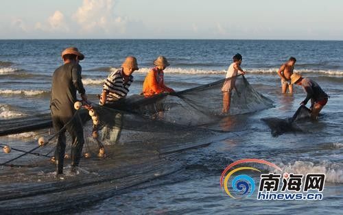 一些村民采用密眼绞网进行捕捞