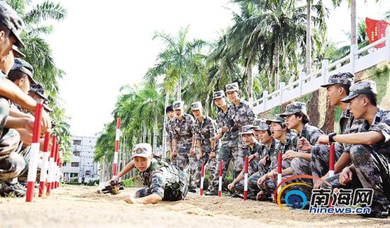 海南省军区某部进行战术训练。记者 张茂 通讯员 蓝晴 摄