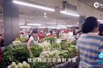 《海南创客岛》草墅私房菜：如草柔韧，如墅悠然