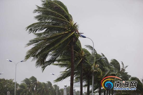 今年第21号台风“莎莉嘉”来势汹汹，给海口带来狂风和强降雨。海报集团全媒体中心记者 张茂 摄