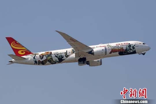 图为海南航空“功夫熊猫”号客机。海南航空 供图