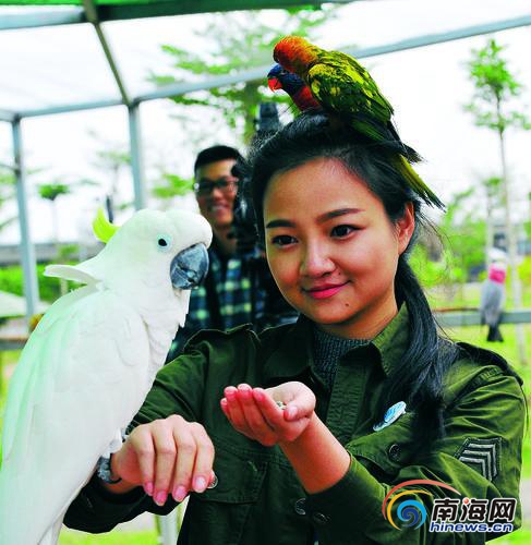 多种野生"萌宠"现身海口桂林洋天鹅湖动物乐园
