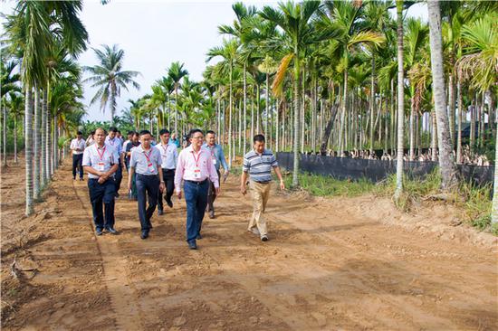 麦正华:扶贫好比救命 真抓实干显作风