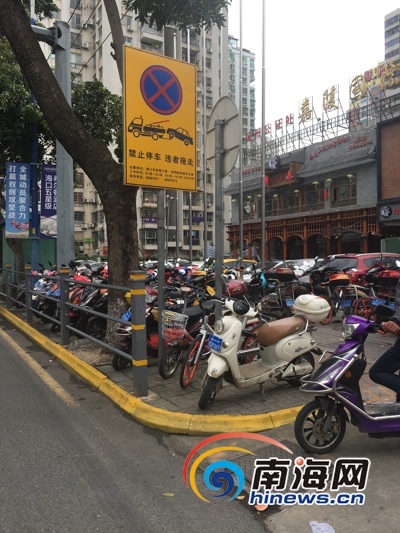 海口国贸路试点禁止停车标线 违者将罚款100元
