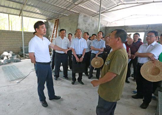 市委副书记、市长朱洪武在排浦镇昌王村委会扶贫养鸽基地调研。