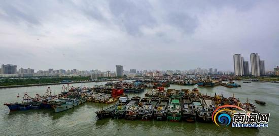 受第19号台风“杜苏芮”的影响,海口海域作业渔船和过往船只陆续靠港避风。海报集团全媒体中心记者陈元才摄