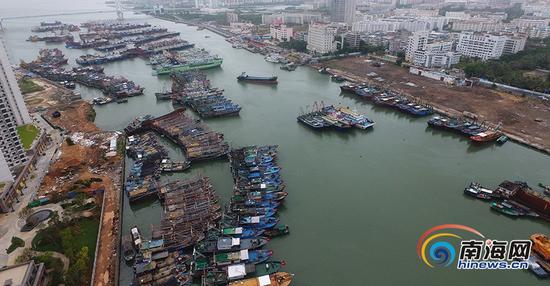 受第19号台风“杜苏芮”的影响,海口海域作业渔船和过往船只陆续靠港避风。南海网记者刘洋摄