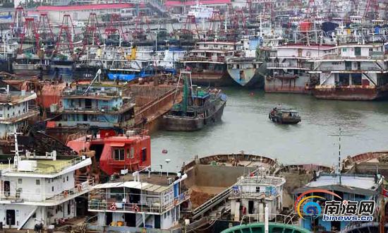 海口世纪大桥下,回港避风的船舶。海报集团全媒体中心记者陈元才摄
