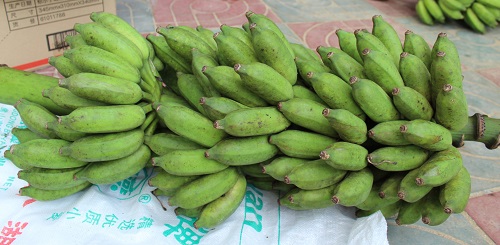 帮帮蕉农!70户贫困户香粉蕉滞销1.5万斤 收购