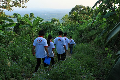 帮帮蕉农!70户贫困户香粉蕉滞销1.5万斤 收购