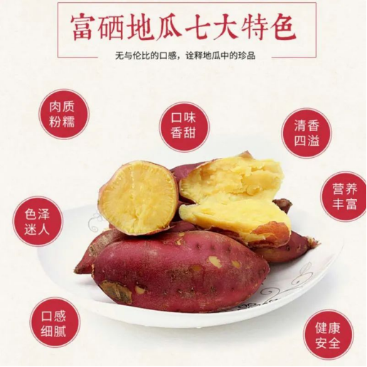 小地瓜种出大品牌丨贡品红果人间致臻