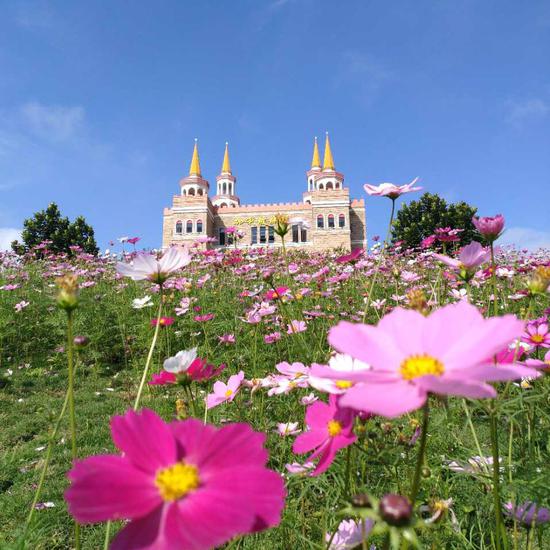看花海走秀享美食美拍：女神节,屯昌邀你共赴美丽盛宴